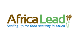 AFRICA LEAD